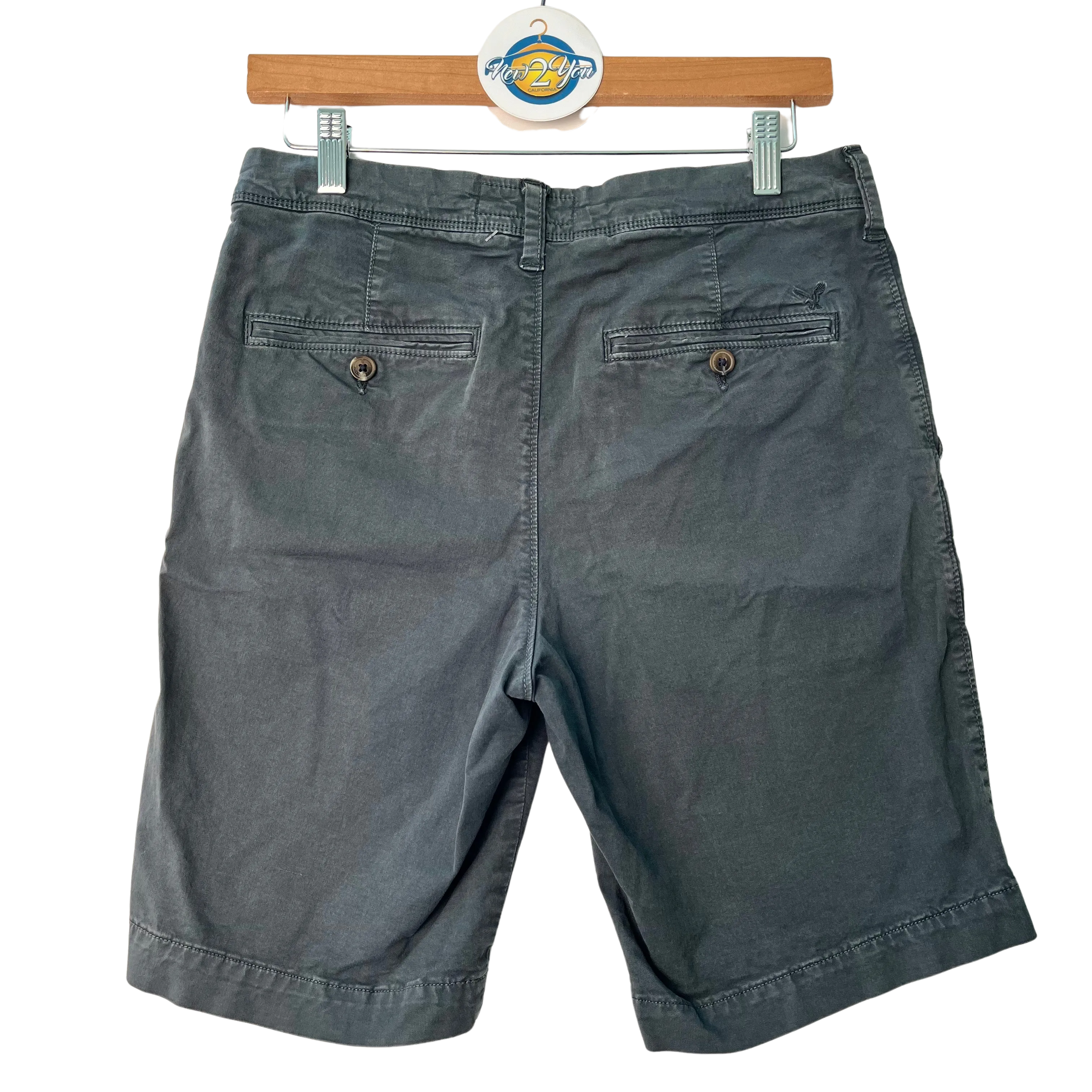 Cargo Shorts (American Eagle)