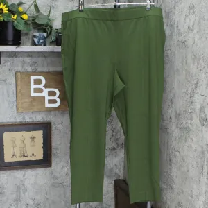 Colleen Lopez Power Mesh Panel Skinny Ponte Knit Pants. 729257 Hunter Green 3X