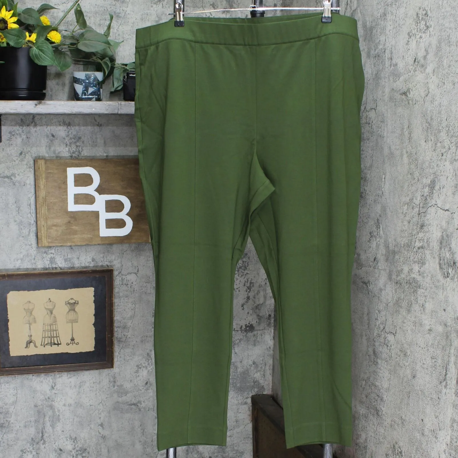 Colleen Lopez Power Mesh Panel Skinny Ponte Knit Pants. 729257 Hunter Green 3X