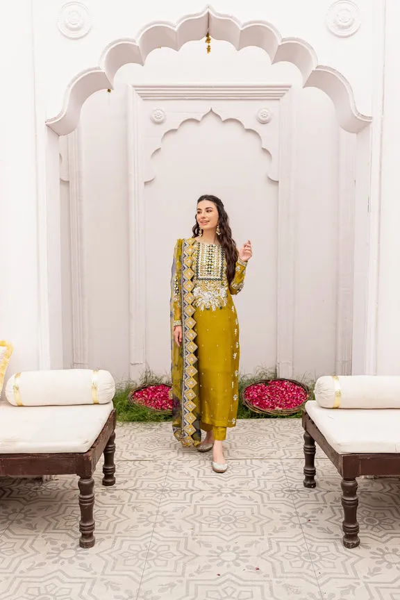 Embellished Pakistani Kameez Pants with Dupatta Dress