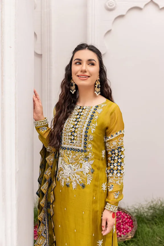 Embellished Pakistani Kameez Pants with Dupatta Dress