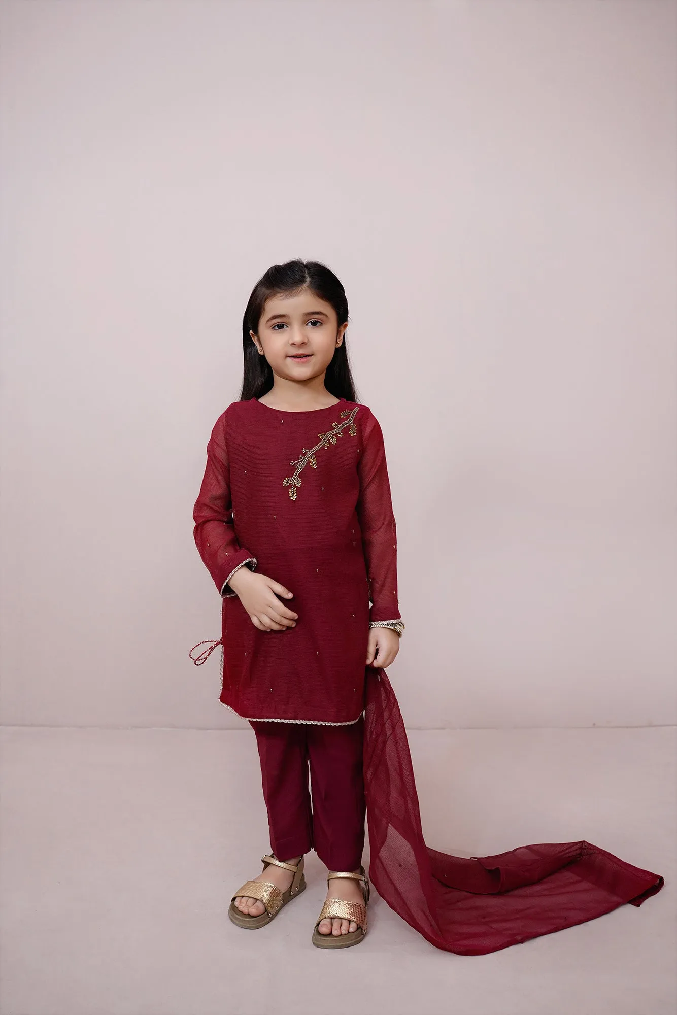 Maroon Embroidered Chiffon