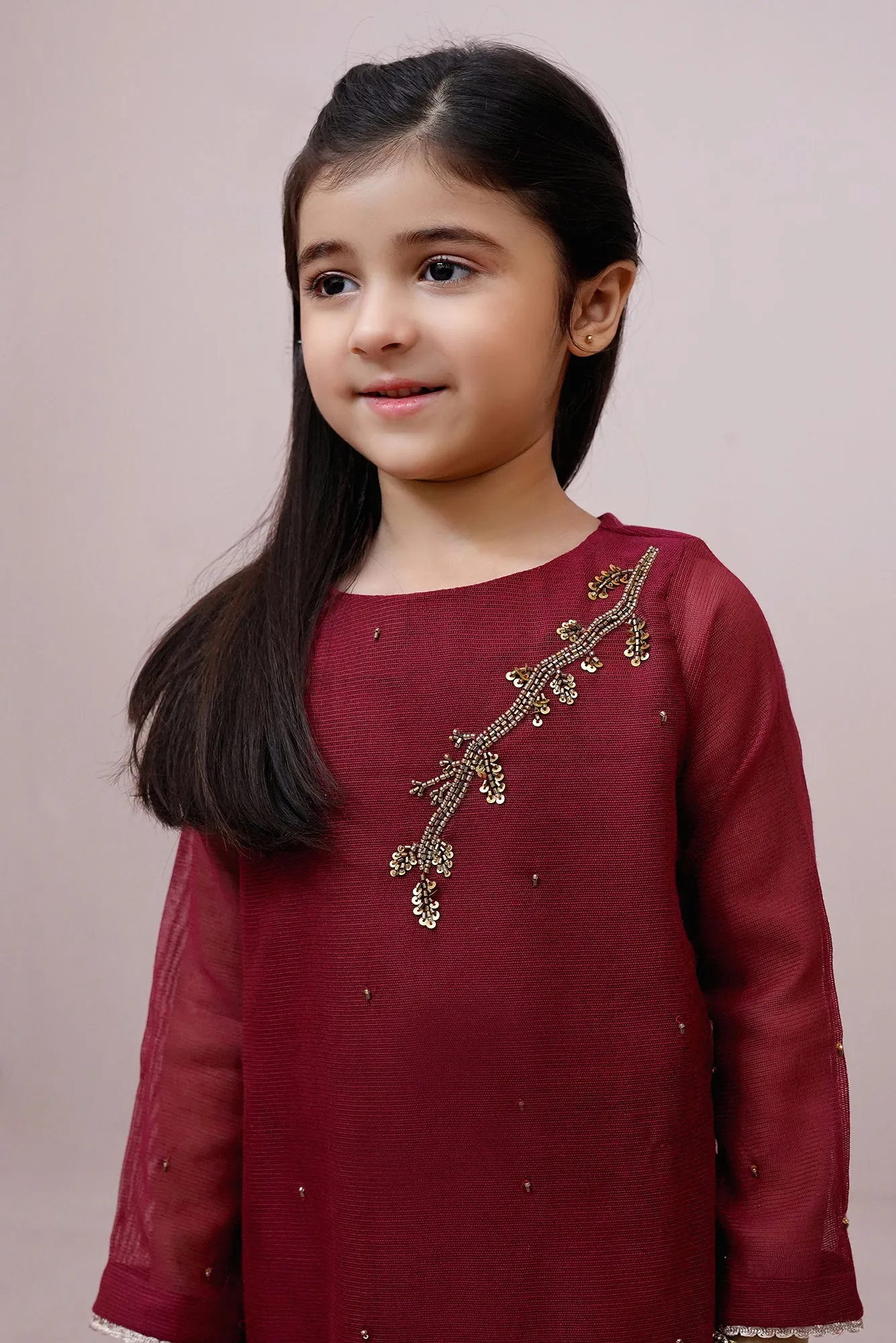 Maroon Embroidered Chiffon