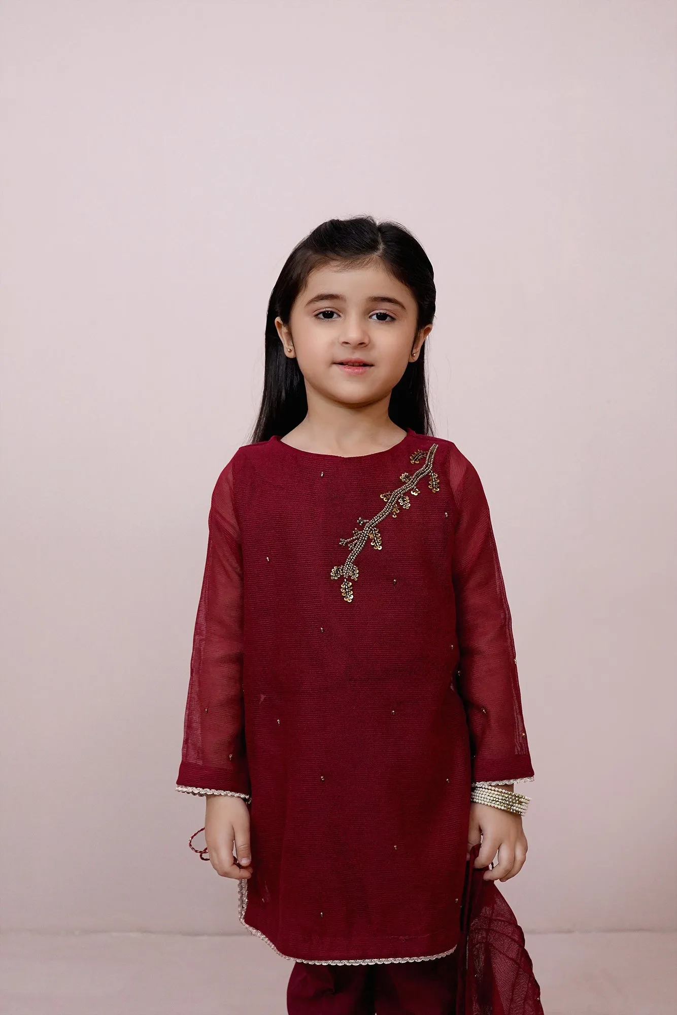 Maroon Embroidered Chiffon