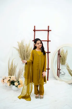 Mehndi Embroidered Chiffon