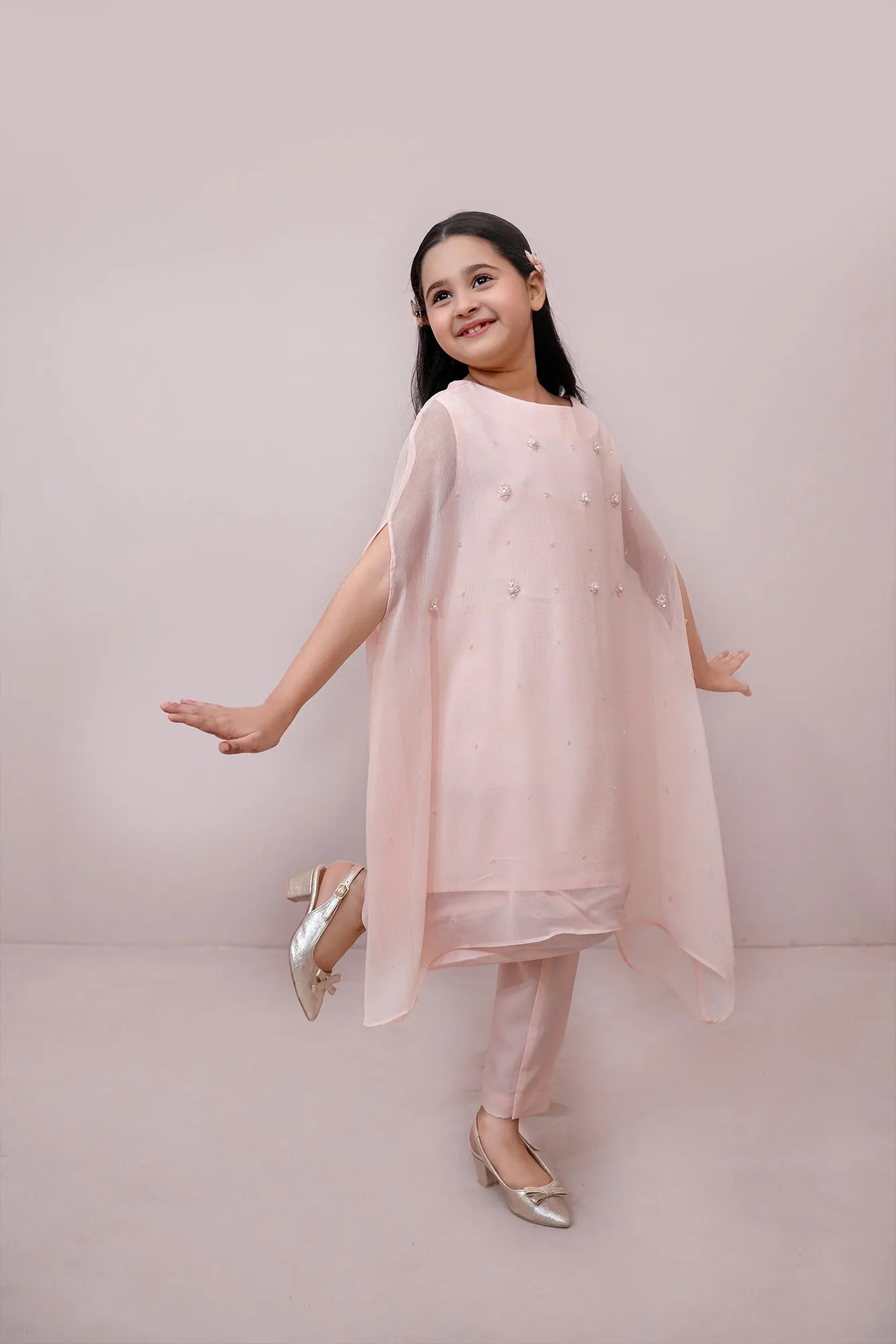 Pink Embroidered Chiffon