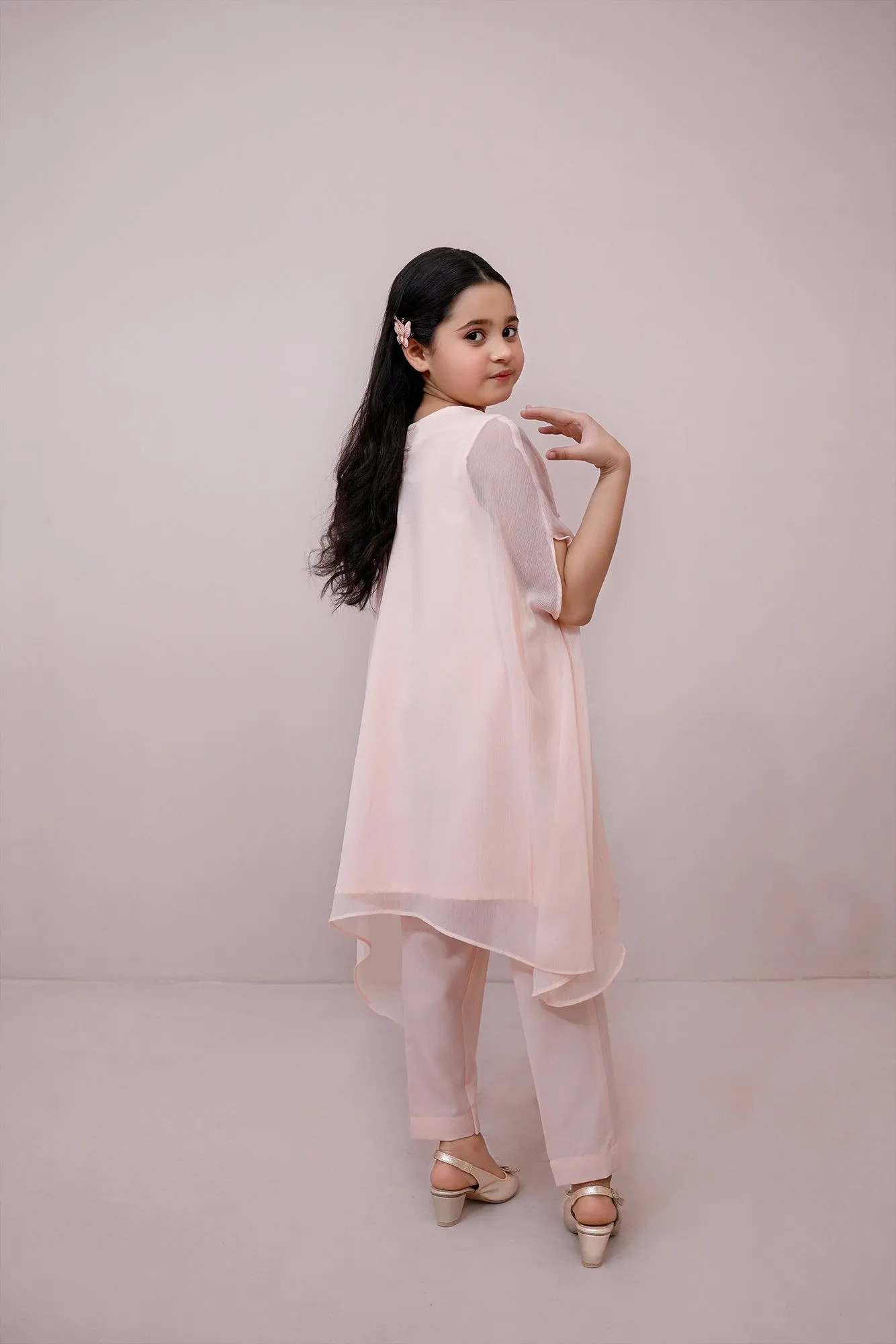 Pink Embroidered Chiffon
