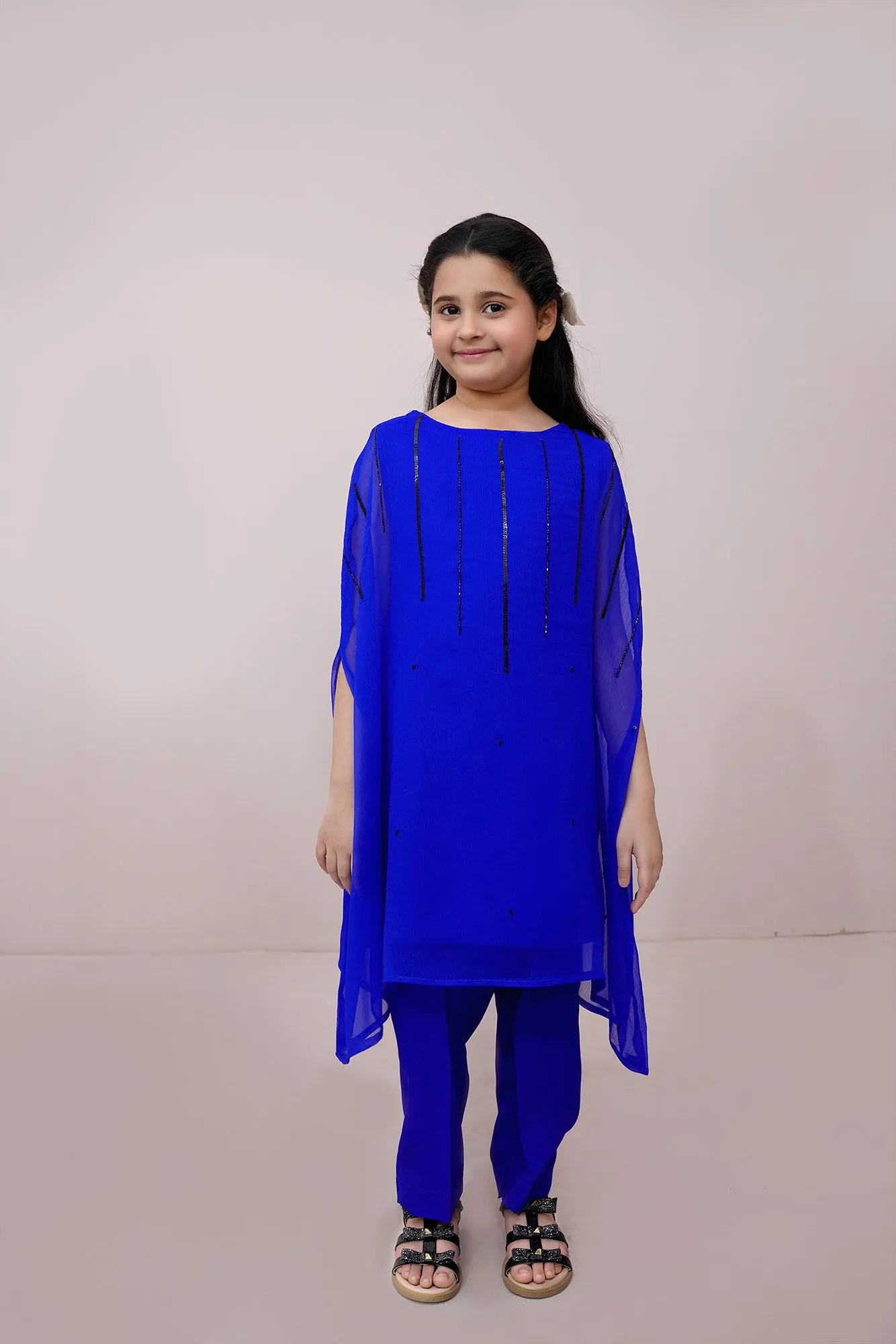Royal Embroidered Chiffon