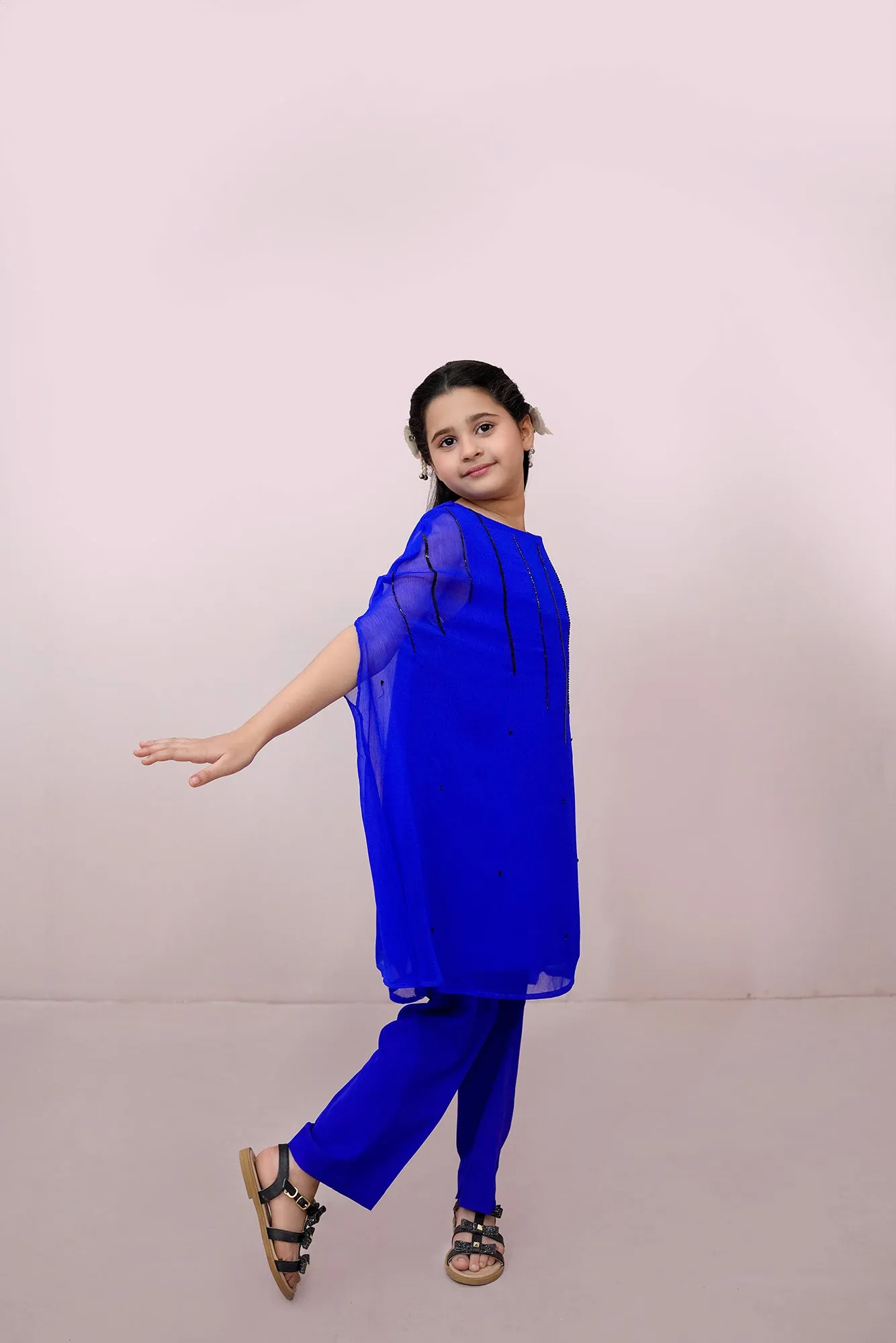 Royal Embroidered Chiffon