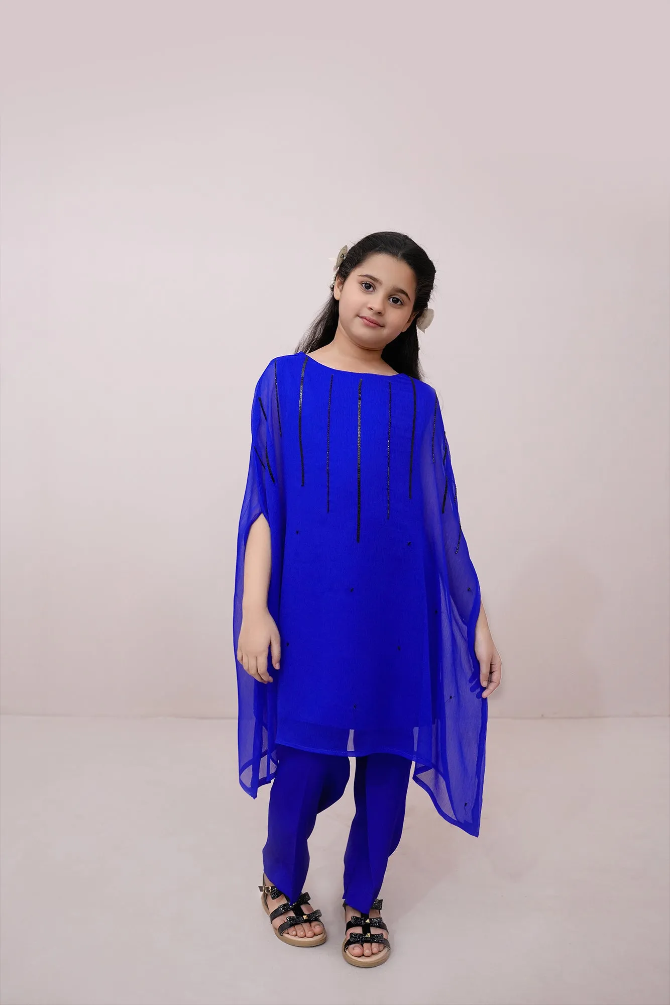 Royal Embroidered Chiffon