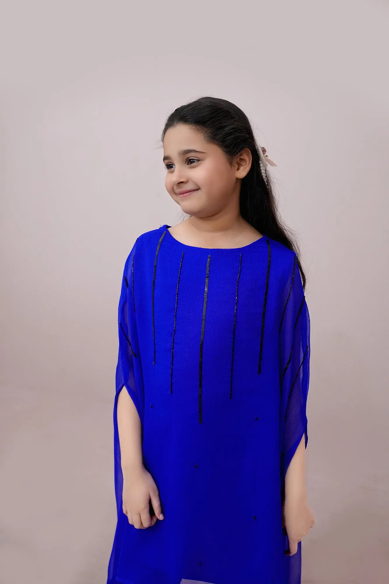 Royal Embroidered Chiffon