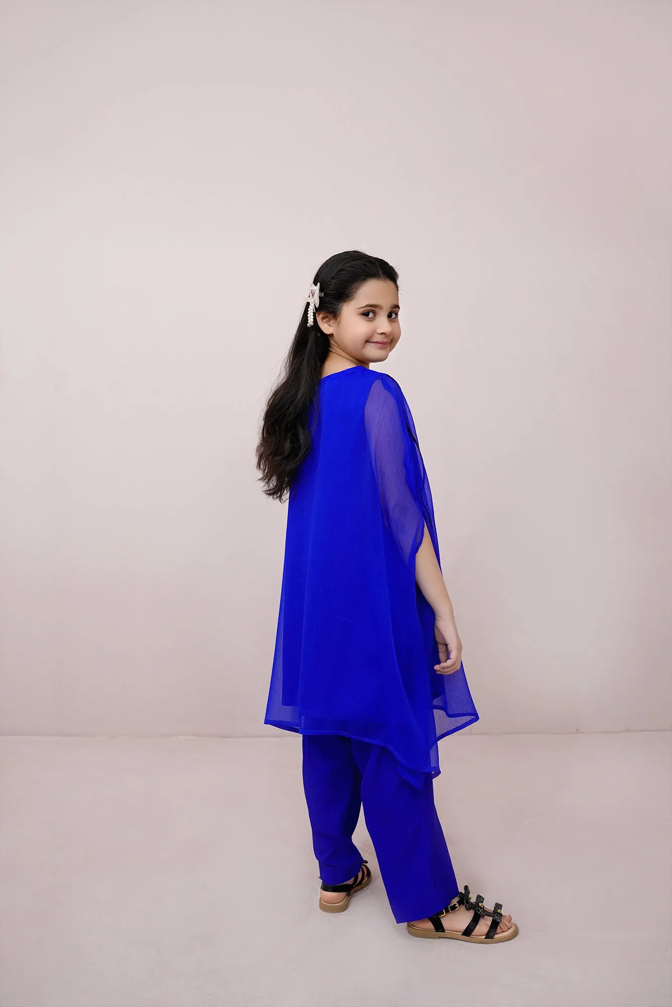 Royal Embroidered Chiffon