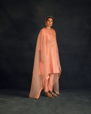 Shikha Mehta Jungkook Salmon Hania Kurta Set Silk Silk Chanderi Silk Organza Pink Hana Ss21F-Hk
