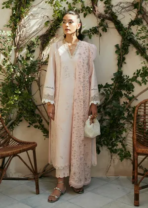 SUFFUSE | SUMMER '24 | AASIRA