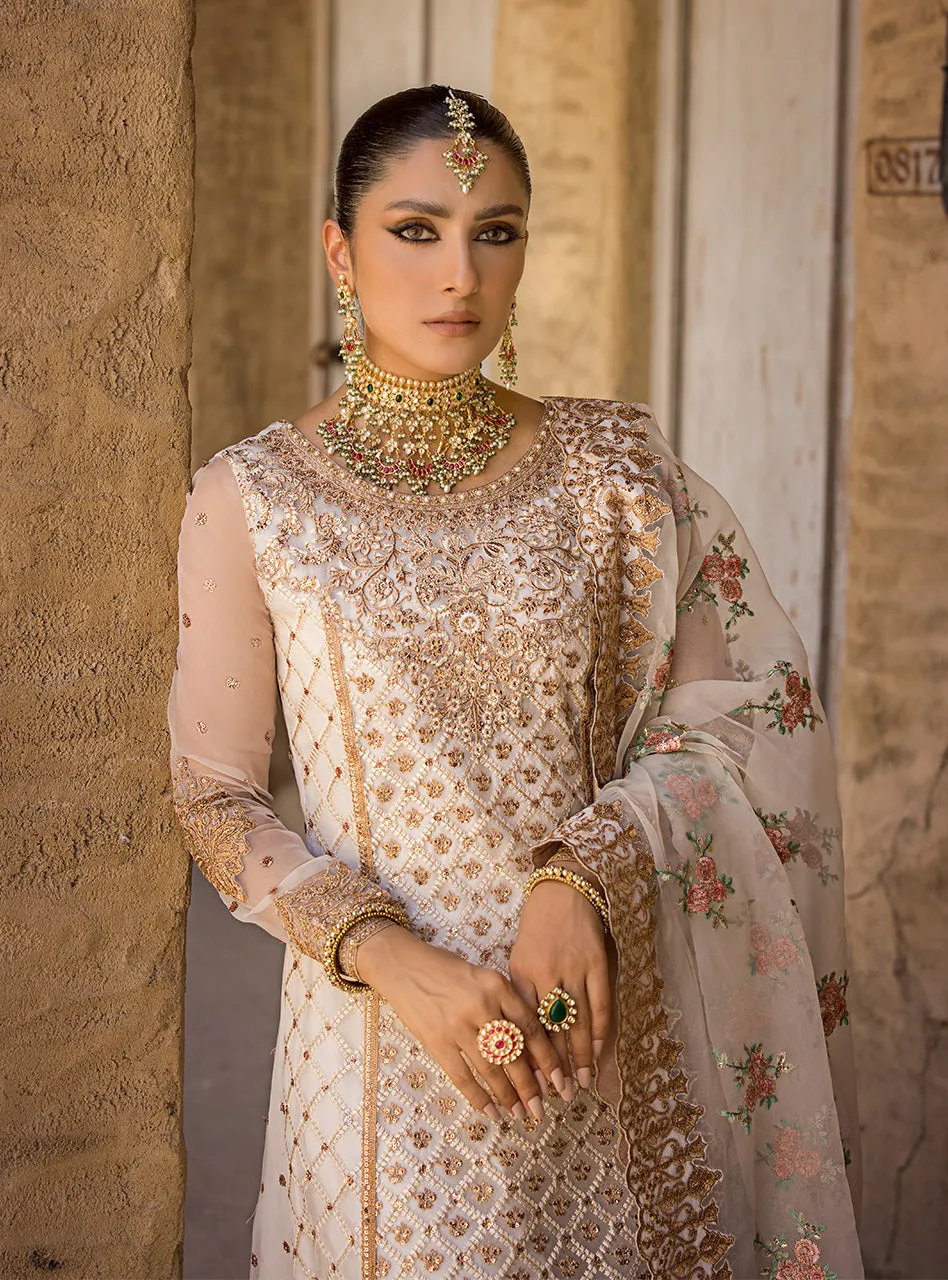 ZAINAB CHOTTANI WEDDING FESTIVE '23 | HEER