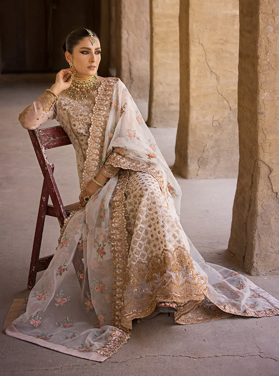 ZAINAB CHOTTANI WEDDING FESTIVE '23 | HEER